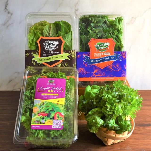 2024蔬菜箱推薦10款高評價蔬菜箱品牌排行 | 好吃美食的八里人