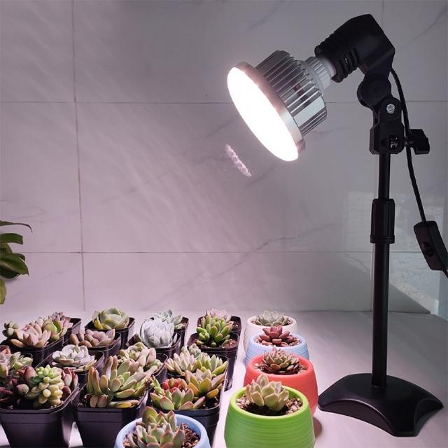 2024植物燈推薦10款高評價植物燈品牌排行 | 好吃美食的八里人