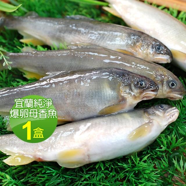 【2024必買】香魚終極推薦清單 | 好吃美食的八里人