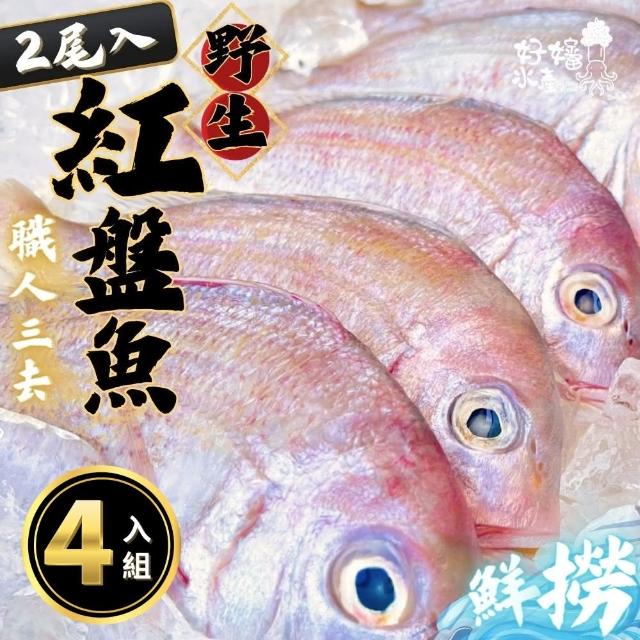 【2024必買】烏魚子終極推薦清單 | 好吃美食的八里人