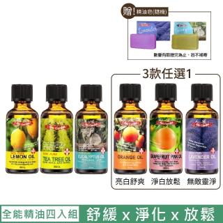 【2026】鼠尾草精油推薦ptt》10款高評價人氣品牌排行榜 | BALIMAN情報局