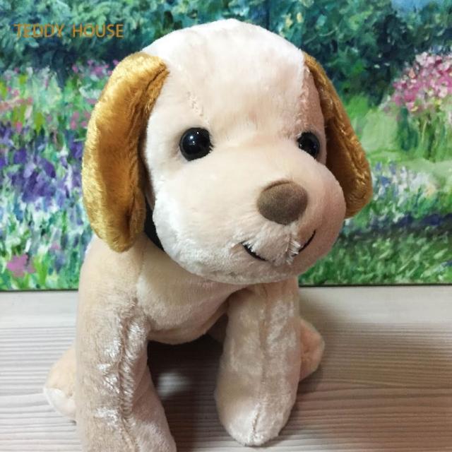 | 好吃美食的八里人 【2025必買】絨毛狗玩偶終極推薦清單 | 好吃美食的八里人