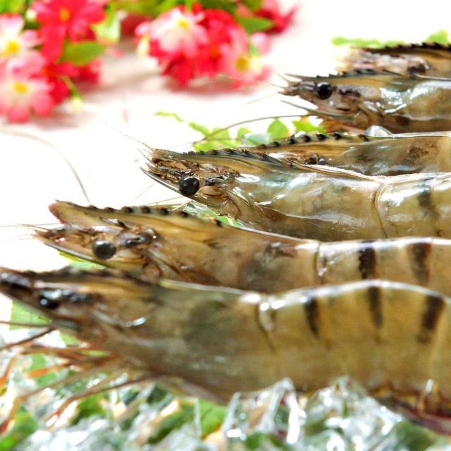 【2025】草蝦推薦ptt》10款高評價人氣品牌排行榜 | 好吃美食的八里人