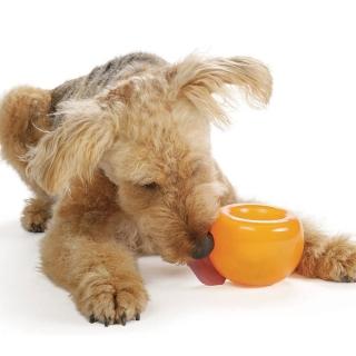 【Planet Dog】snoop耐咬埋鼻缽L /4色(益智 慢食 狗狗 藏食玩具 寵物玩具 狗玩具)