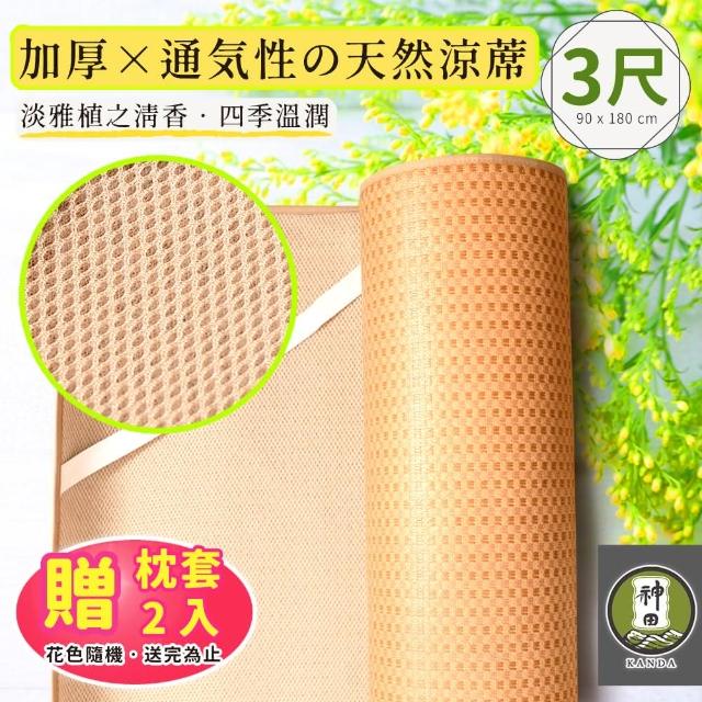【2025必買】單人涼蓆終極推薦清單 | 好吃美食的八里人