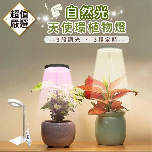 【2025】植物燈推薦ptt》10款高評價人氣品牌排行榜 | 好吃美食的八里人