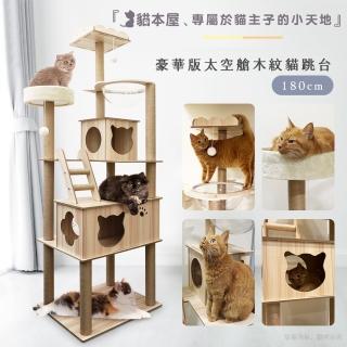 【2026】貓吊床推薦｜10款高評價人氣品牌排行榜 | BALIMAN情報局