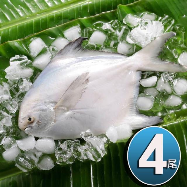 【2025必買】白鯧魚終極推薦清單 | 好吃美食的八里人
