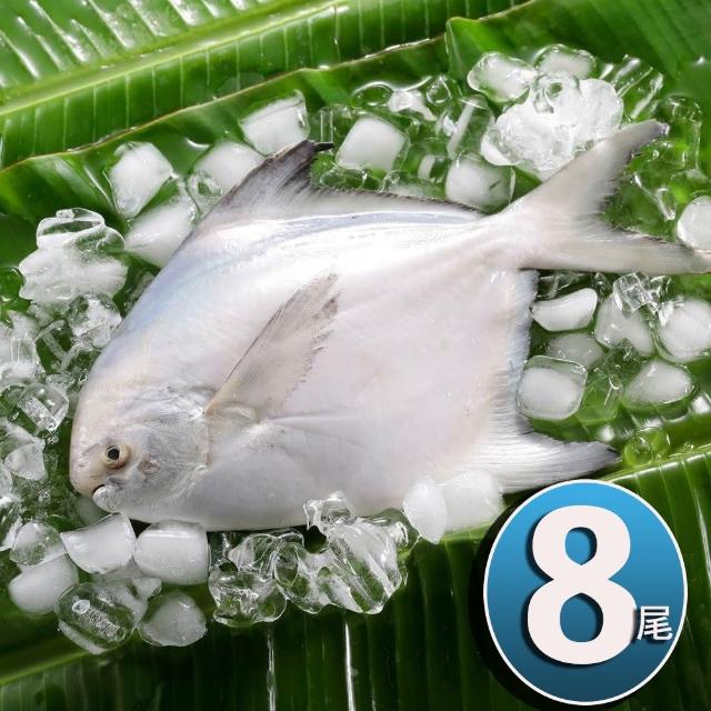 【2025必買】白鯧魚終極推薦清單 | 好吃美食的八里人