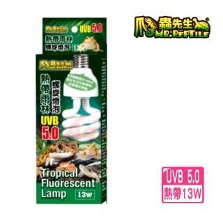 【2026】螺旋省電燈泡推薦｜7款高評價人氣品牌排行榜 | BALIMAN情報局