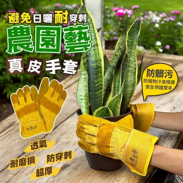 【2025】園藝手套推薦ptt》10款高評價人氣品牌排行榜 | 好吃美食的八里人