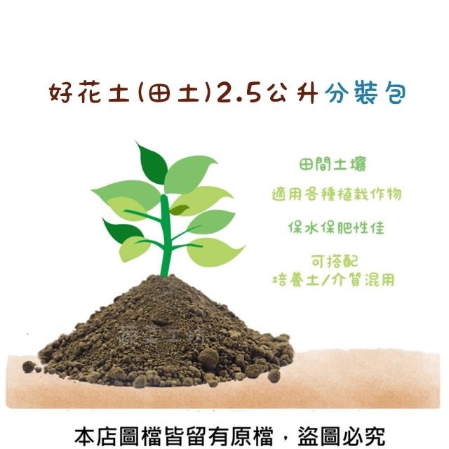 【2025】蔬菜工坊推薦10款高評價蔬菜工坊品牌排行 | 好吃美食的八里人