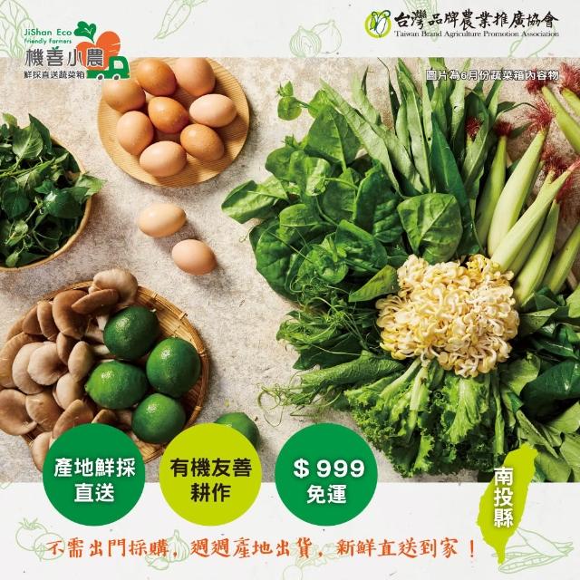 【2025】蔬菜推薦10款高評價人氣品牌排行榜 | 好吃美食的八里人