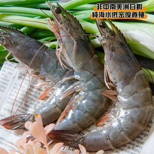 【2025必買】蝦終極推薦清單 | 好吃美食的八里人