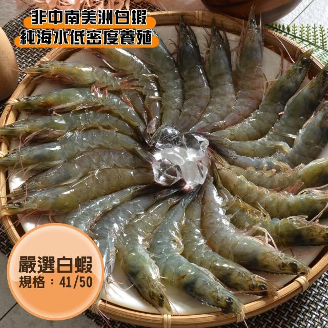 【2025必買】蝦終極推薦清單 | 好吃美食的八里人