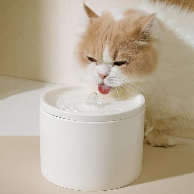 【2025】貓咪飲水機推薦ptt》10款高評價人氣品牌排行榜 | 好吃美食的八里人