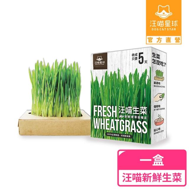 【2025】貓草推薦10款高評價貓草品牌排行 | 好吃美食的八里人