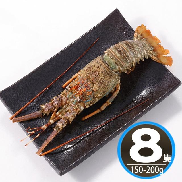 【2025】龍蝦推薦10款高評價人氣品牌排行榜 | 好吃美食的八里人