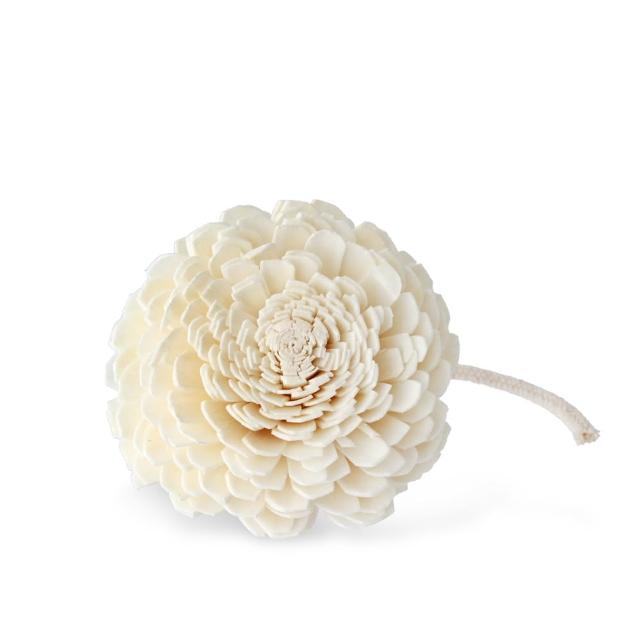 【2025】擴香花推薦10款高評價擴香花品牌排行 | 好吃美食的八里人