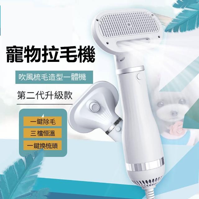 【2025】寵物吹水機推薦｜10款高評價人氣品牌排行榜 | 好吃美食的八里人