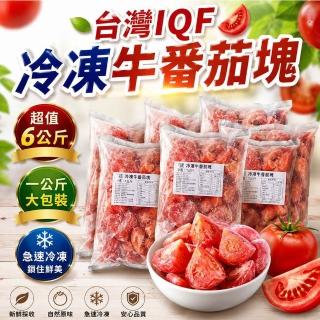【2026】番茄推薦10款高評價番茄品牌排行 | BALIMAN情報局