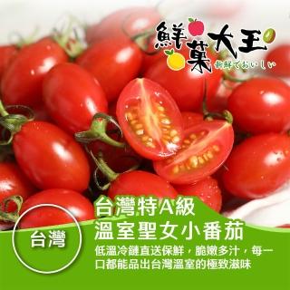 【2026】番茄推薦10款高評價番茄品牌排行 | BALIMAN情報局