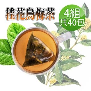 【2026】桂花茶推薦10款高評價桂花茶品牌排行 | BALIMAN情報局
