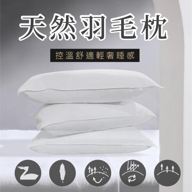 【2026】飯店枕頭推薦ptt》10款高評價人氣品牌排行榜 | 好吃美食的八里人