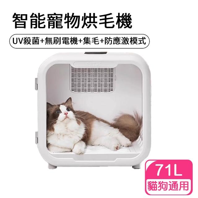 【2026必買】寵物吹水機終極推薦清單 | 好吃美食的八里人