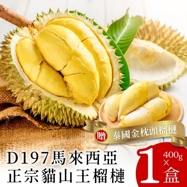 【2026】榴槤推薦ptt》10款高評價人氣品牌排行榜 | 好吃美食的八里人