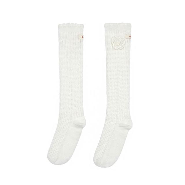 【2026】絲襪推薦ptt》10款高評價人氣品牌排行榜 | 好吃美食的八里人