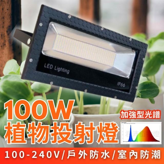 【2026】植物燈推薦10款高評價人氣品牌排行榜 | 好吃美食的八里人