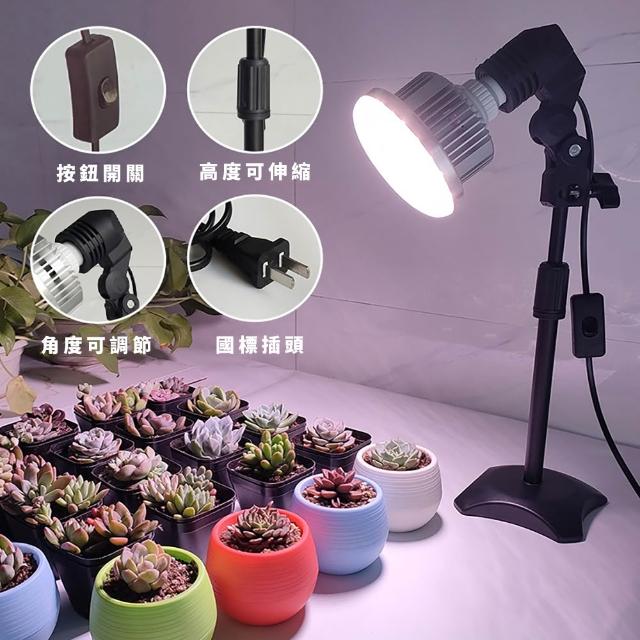 【2026】植物燈推薦10款高評價人氣品牌排行榜 | 好吃美食的八里人