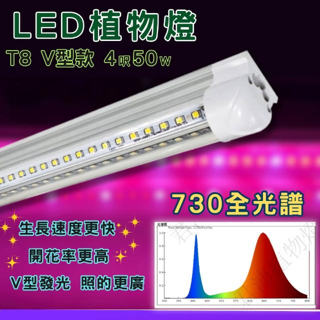 【2026】植物燈推薦10款高評價人氣品牌排行榜 | 好吃美食的八里人