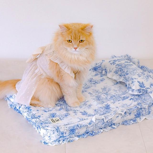 【2026】寵物涼墊推薦10款高評價人氣品牌排行榜 | 好吃美食的八里人