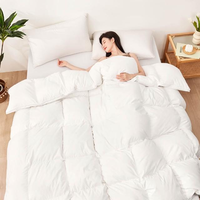 【2026】羽絨被推薦ptt》10款高評價人氣品牌排行榜 | 好吃美食的八里人