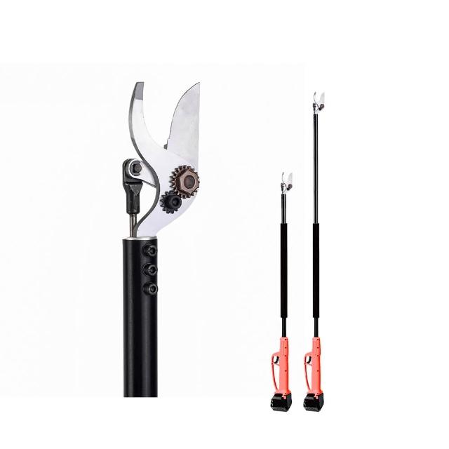 | 好吃美食的八里人 【2026】文旦推薦ptt》10款高評價人氣品牌排行榜 | 好吃美食的八里人