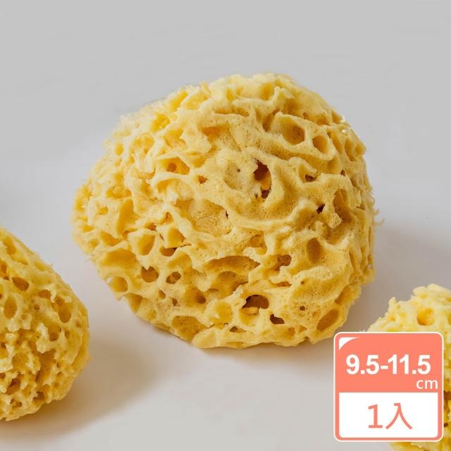 【2026】洗臉海綿推薦ptt》10款高評價人氣品牌排行榜 | 好吃美食的八里人