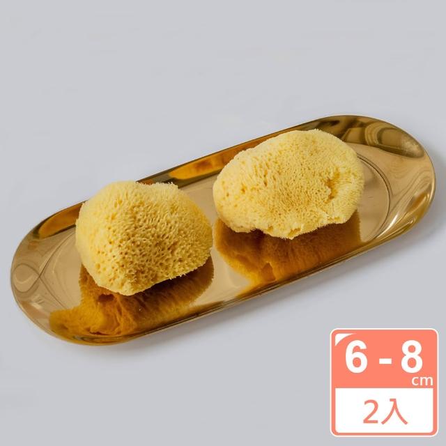 【2026】洗臉海綿推薦ptt》10款高評價人氣品牌排行榜 | 好吃美食的八里人