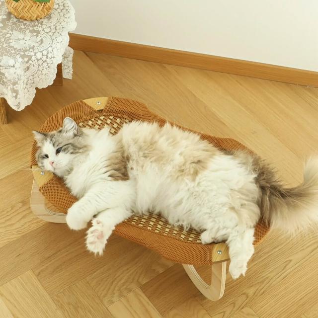 【2026】寵物行軍床推薦ptt》10款高評價人氣品牌排行榜 | 好吃美食的八里人