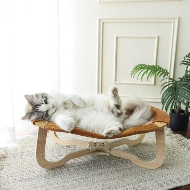 【2026】寵物行軍床推薦ptt》10款高評價人氣品牌排行榜 | 好吃美食的八里人