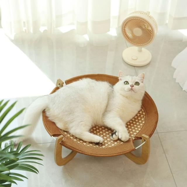 【2026】寵物行軍床推薦ptt》10款高評價人氣品牌排行榜 | 好吃美食的八里人