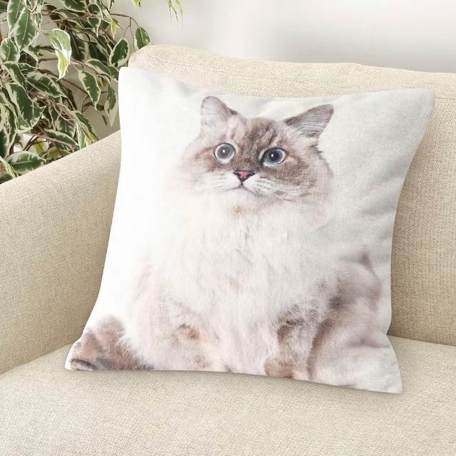 【2026】宜得利枕頭推薦｜10款高評價人氣品牌排行榜 | 好吃美食的八里人