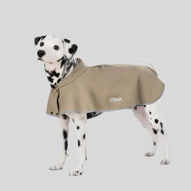 【2026】狗狗雨衣推薦10款高評價狗狗雨衣品牌排行 | 好吃美食的八里人