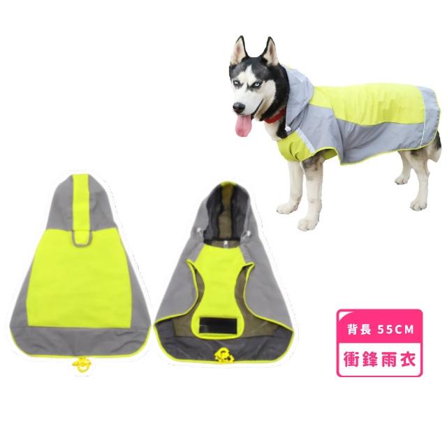 【2026】狗狗雨衣推薦10款高評價狗狗雨衣品牌排行 | 好吃美食的八里人