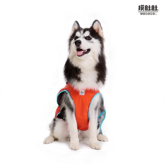 【2026】狗狗雨衣推薦10款高評價狗狗雨衣品牌排行 | 好吃美食的八里人