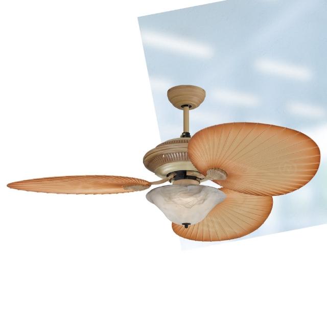 【2026必買】吊扇終極推薦清單 | 好吃美食的八里人