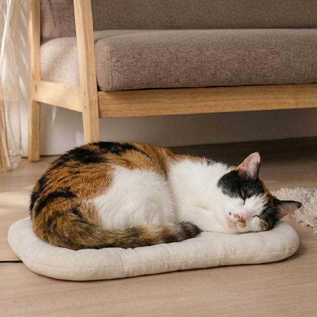 【2026】寵物地墊推薦10款高評價人氣品牌排行榜 | 好吃美食的八里人