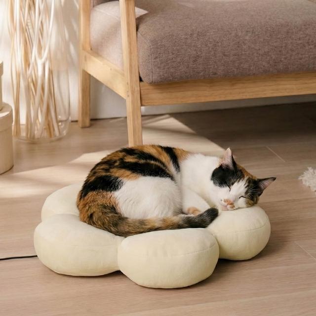 【2026】寵物地墊推薦10款高評價人氣品牌排行榜 | 好吃美食的八里人