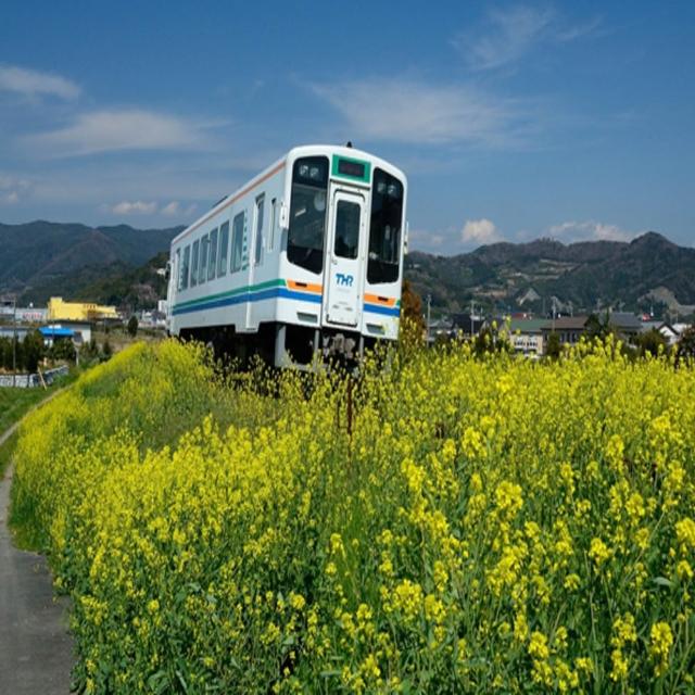 | 好吃美食的八里人 【2026】櫻桃小丸子推薦ptt》10款高評價人氣品牌排行榜 | 好吃美食的八里人